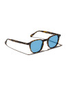 Occhiali Moscot ARTHUR SUN tortoise celebrity blue online da Ottica Ricci