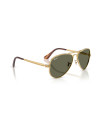 Occhiali sole Ray-Ban 3925 001/58 online da Ottica Ricci