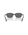 Occhiali sole Ray-Ban 4455 667781 online da Ottica Ricci