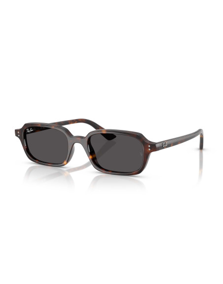 Occhiali sole Ray-Ban 4455 135987 52 online da Ottica Ricci