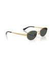 Occhiali sole Ray-Ban 3774D 001/87 55 online da Ottica Ricci