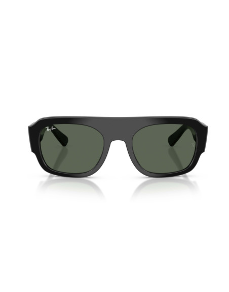 Occhiali sole Ray-Ban 2218 667771 55 online da Ottica Ricci