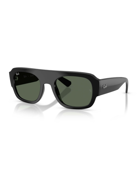Occhiali sole Ray-Ban 2218 667771 55 online da Ottica Ricci