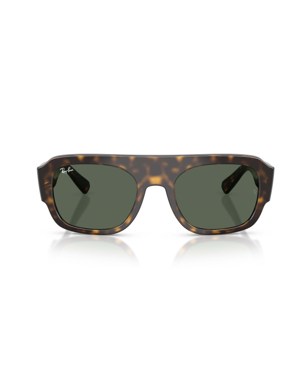 Occhiali sole Ray-Ban 2218 679071 55 online da Ottica Ricci