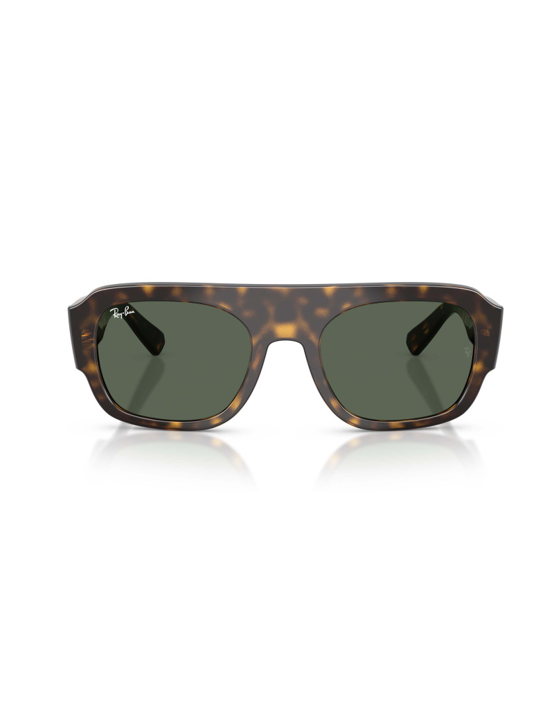 Occhiali sole Ray-Ban 2218 679071 55 online da Ottica Ricci
