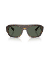 Occhiali sole Ray-Ban 2218 679071 55 online da Ottica Ricci