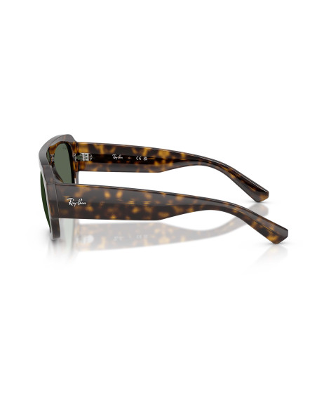 Occhiali sole Ray-Ban 2218 679071 55 online da Ottica Ricci