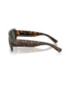Occhiali sole Ray-Ban 2218 679071 55 online da Ottica Ricci