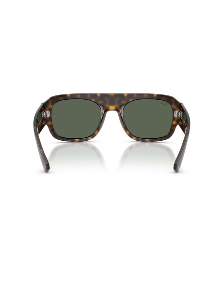 Occhiali sole Ray-Ban 2218 679071 55 online da Ottica Ricci