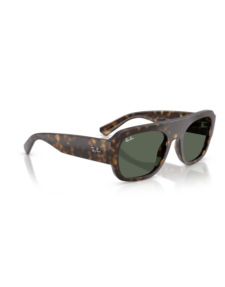 Occhiali sole Ray-Ban 2218 679071 55 online da Ottica Ricci