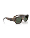 Occhiali sole Ray-Ban 2218 679071 55 online da Ottica Ricci
