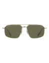 Occhiali sole Serengeti Wayne ss546001 online da Ottica Ricci