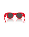 Occhiali da sole Ray-Ban 4940B 686187 47 disponibili online da Ottica Ricci
