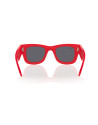 Occhiali da sole Ray-Ban 4940B 686187 47 disponibili online da Ottica Ricci