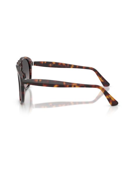 Occhiali da sole Persol 0649NE 24/M3 54 disponibili online da Ottica Ricci