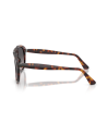 Occhiali da sole Persol 0649NE 24/M3 54 disponibili online da Ottica Ricci