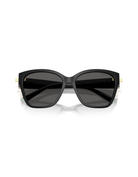 Occhiali sole Tiffany & Co. 4254U 8001S4 online da Ottica Ricci