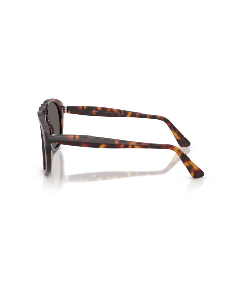 Occhiali sole Persol 0649NE 24/B1 54 online da Ottica Ricci