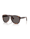 Occhiali sole Persol 0649NE 24/B1 54 online da Ottica Ricci