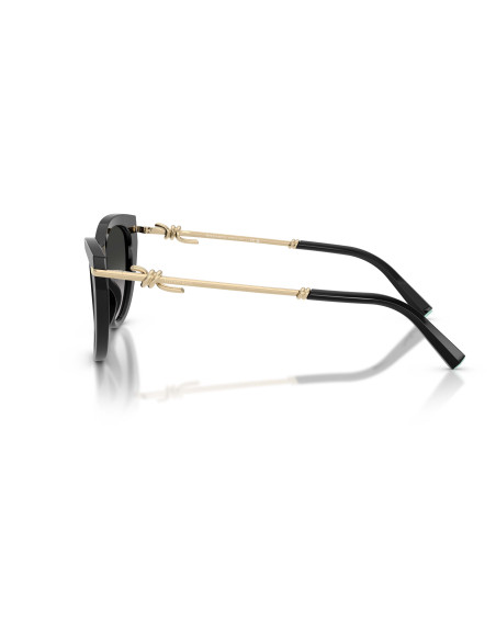 Occhiali sole Tiffany & Co. 4253 80013C online da Ottica Ricci