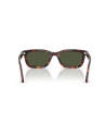 Occhiali sole Persol 3396S 24/31 53 online da Ottica Ricci