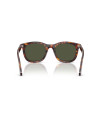 Occhiali sole Persol 3395S 24/31 52 online da Ottica Ricci
