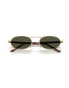 Occhiali sole Persol 1023S 515/31 55 online da Ottica Ricci