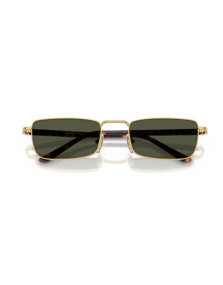 Occhiali sole Persol 1025S 515/31 57 online da Ottica Ricci