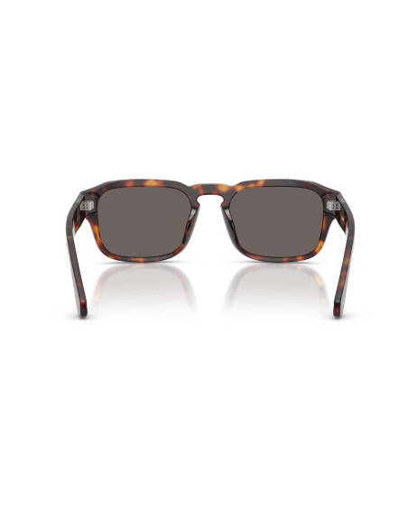 Occhiali sole Persol 3386S 24/B1 56 online da Ottica Ricci