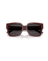 Occhiali da sole Jimmy Choo 5047B 505787 online da Ottica Ricci