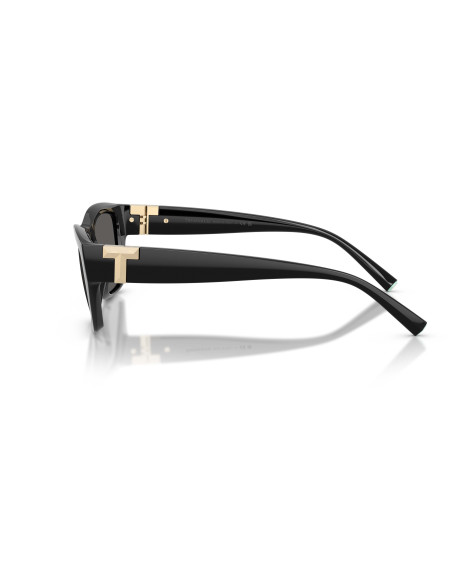 Occhiali da sole Tiffany & Co. 4255U 8001S4 online da Ottica Ricci