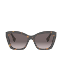 Fendi Lettering Havana Square Sunglasses