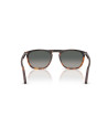 Occhiali da sole Persol 3391S 116071 53 disponibili online da Ottica Ricci