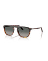 Occhiali da sole Persol 3391S 116071 53 disponibili online da Ottica Ricci