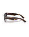 Occhiali da sole Ray-Ban 0832S 902/r5 52 disponibili online da Ottica Ricci