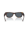 Occhiali da sole Ray-Ban 0832S 902/r5 52 disponibili online da Ottica Ricci
