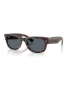 Occhiali da sole Ray-Ban 0832S 902/r5 52 disponibili online da Ottica Ricci