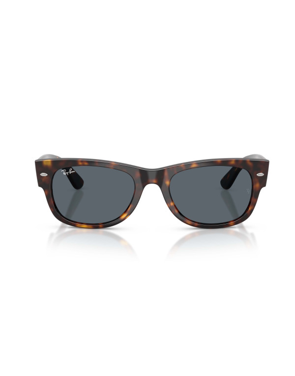 Occhiali da sole Ray-Ban 0832S 902/r5 52 disponibili online da Ottica Ricci