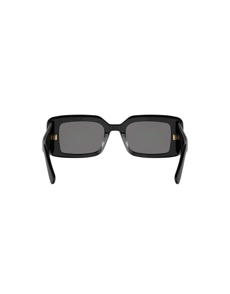 Occhiali da sole DIORLUCKYCHARMS S1I 10a0 disponibili online da Ottica Ricci