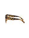 Occhiali da sole CELINE 3 Dots Havana Square Sunglasses disponibili online da Ottica Ricci