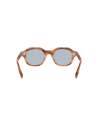Occhiali da sole CELINE 3 Dots HD Havana Square Sunglasses disponibili online da Ottica Ricci