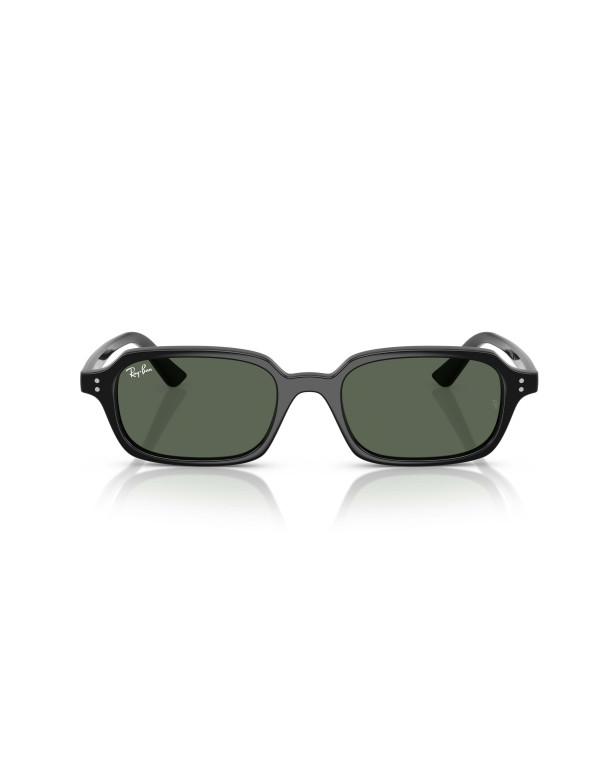 Occhiali sole Ray-Ban 4455 667771 100s55 online da Ottica Ricci