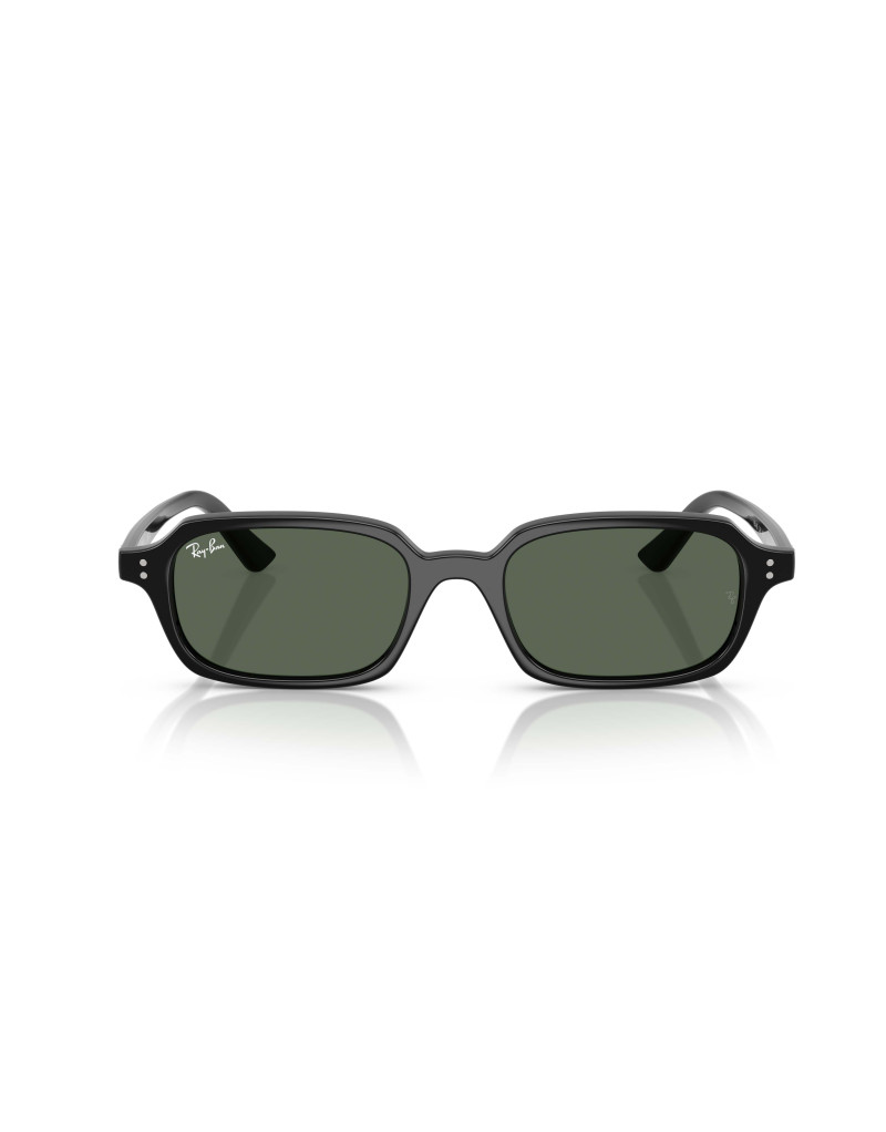Occhiali sole Ray-Ban 4455 667771 100s55 online da Ottica Ricci
