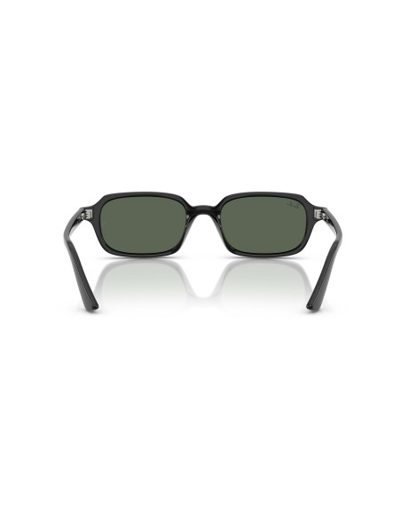 Occhiali sole Ray-Ban 4455 667771 100s55 online da Ottica Ricci