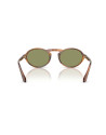 Occhiali sole Giorgio Armani 8219U 616314 online da Ottica Ricci