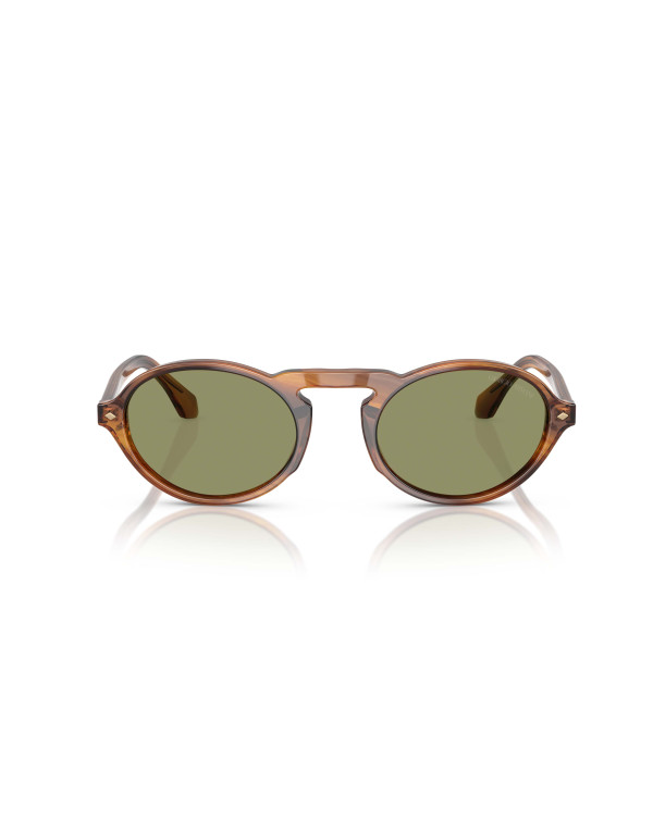 Occhiali sole Giorgio Armani 8219U 616314 online da Ottica Ricci