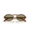 Occhiali sole Giorgio Armani 8219U 616314 online da Ottica Ricci