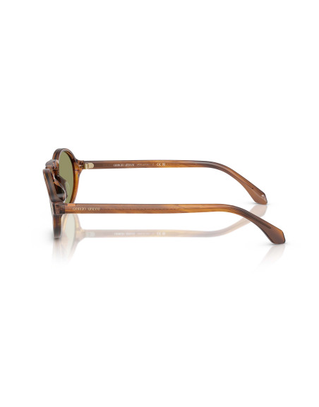 Occhiali sole Giorgio Armani 8219U 616314 online da Ottica Ricci