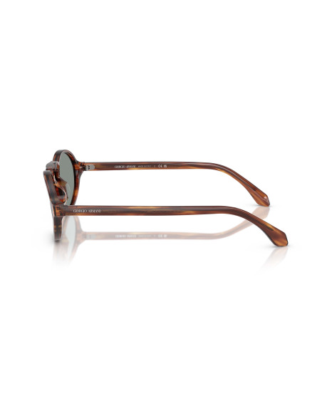 Occhiali sole Giorgio Armani 8219U 616256 online da Ottica Ricci