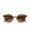 Occhiali da sole Etnia barcelona EIXAMPLE 52S bebr disponibili online da Ottica Ricci
